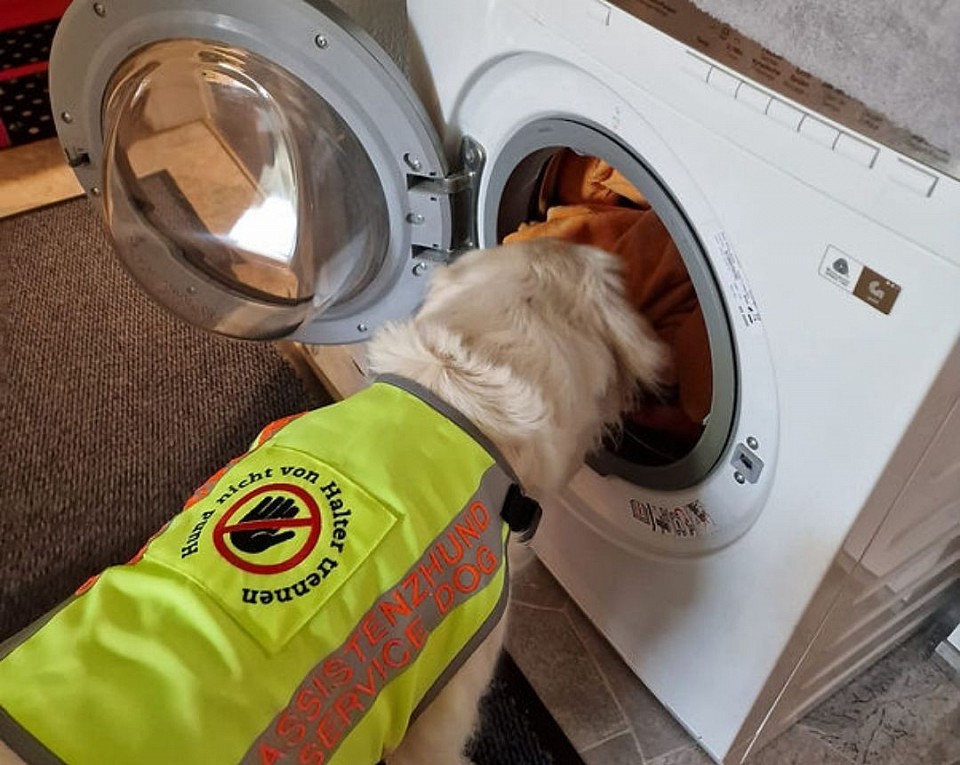 Assistenzhund bei der Arbeit