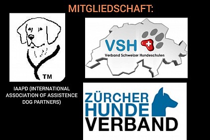 Wir sind Mitglied bei VSH (Verband Schweizer Hundeschulen), IAAPD (International Association of assistence Dog Partner) und Zürcher Hundeverband.